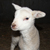 minigalerie-01-m.jpg