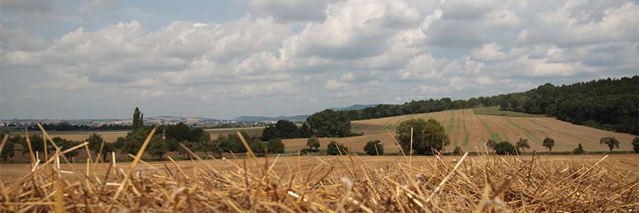 panorama-veprin-04.jpg