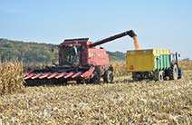 Naše stroje v akci-056.jpg