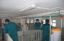oprava-veprin-kurovice-klm-th-016.jpg